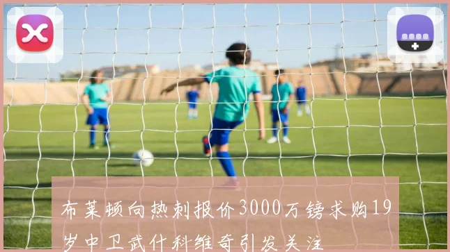 布莱顿向热刺报价3000万镑求购19岁中卫武什科维奇引发关注