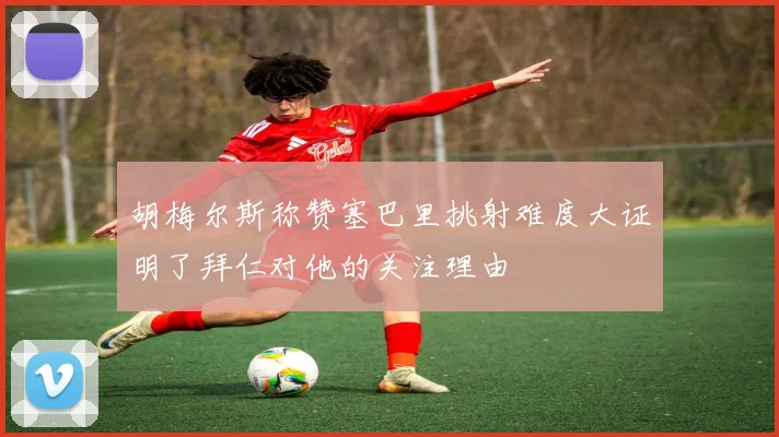 胡梅尔斯称赞塞巴里挑射难度大证明了拜仁对他的关注理由