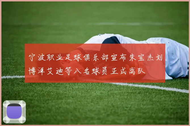 宁波职业足球俱乐部宣布朱宝杰刘博洋艾迪等八名球员正式离队